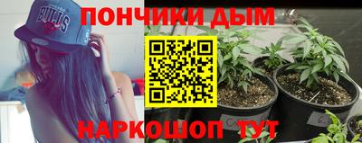 mdpv Гай