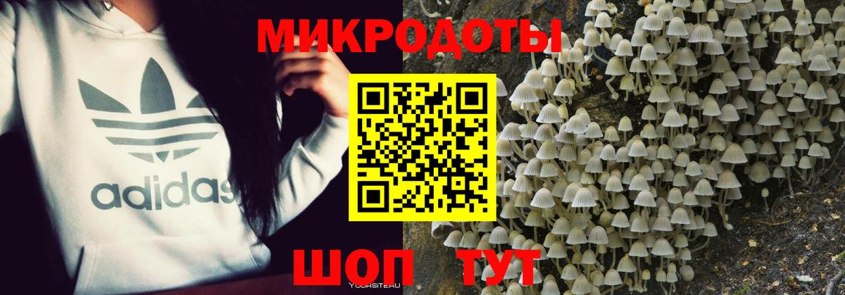 Галлюциногенные грибы ЛСД Ростов Великий